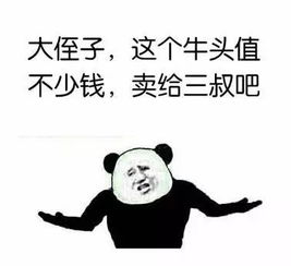 表情包形容你专业图片猪