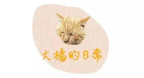  表情橘猫界的李荣浩假鞋鉴定专家狗,这所大学的校宠太有趣了吧...表情