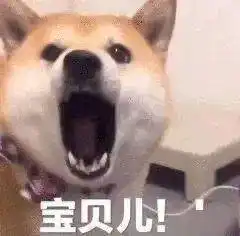 今日份沙雕表情包大全 今日份沙雕表情包大全