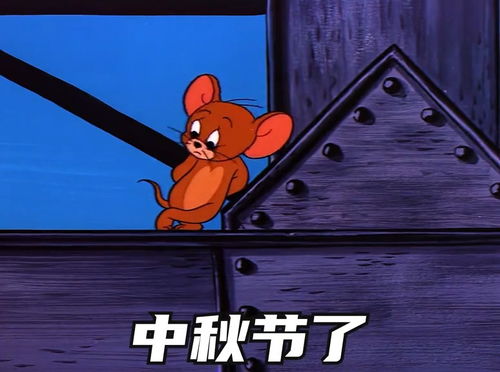  再发一次猫和老鼠表情包搞笑视频经典段子