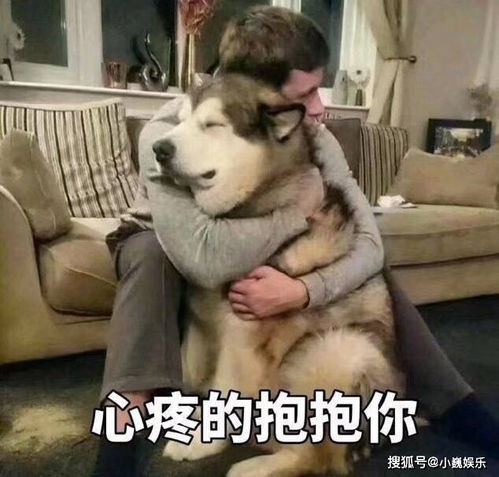 老公要抱抱表情包拼多多