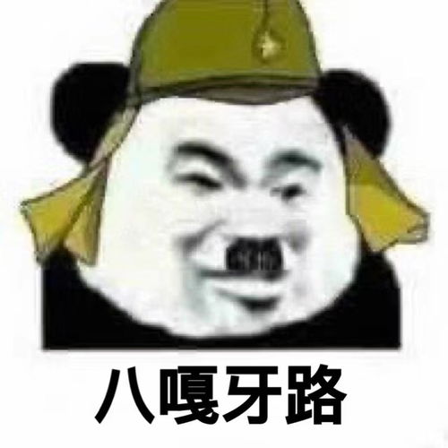  养了五年的英短,突然怀疑起它的身份