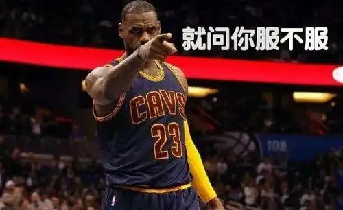 nba球星表情包詹姆斯