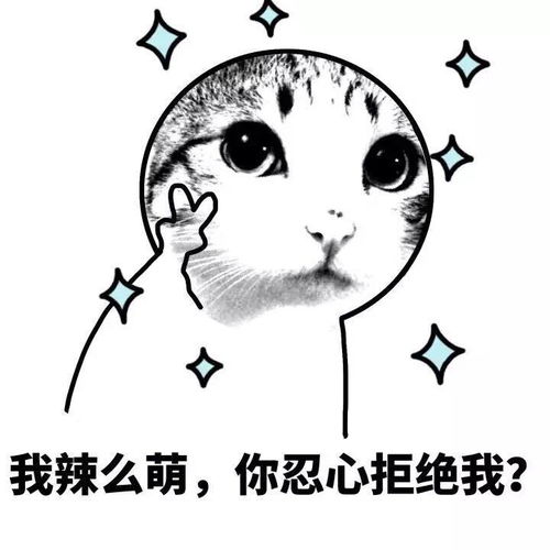  斗图表情包疯子,你的脑残药到了