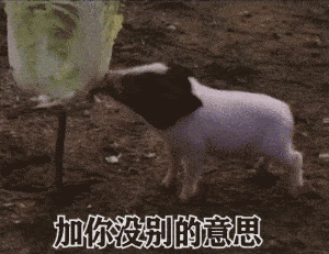 抖音表情包i要做一个干干净净的女孩子 抖音表情包i要做一个干干净净的女孩子