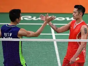 林李大战,淋漓尽致谌龙夺冠,双雄留憾 林李大战,淋漓尽致谌龙夺冠,双雄留憾