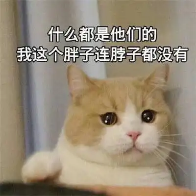 长胖的表情包可爱抖音长胖表情包搞笑图片 长胖的表情包可爱抖音长胖表情包搞笑图片