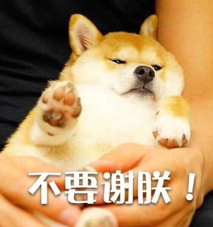  汪星人装逼表情包