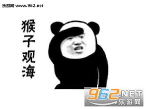  熊猫头功夫系列接招吧表情图片接招吧表情包下载乐游网游戏下载