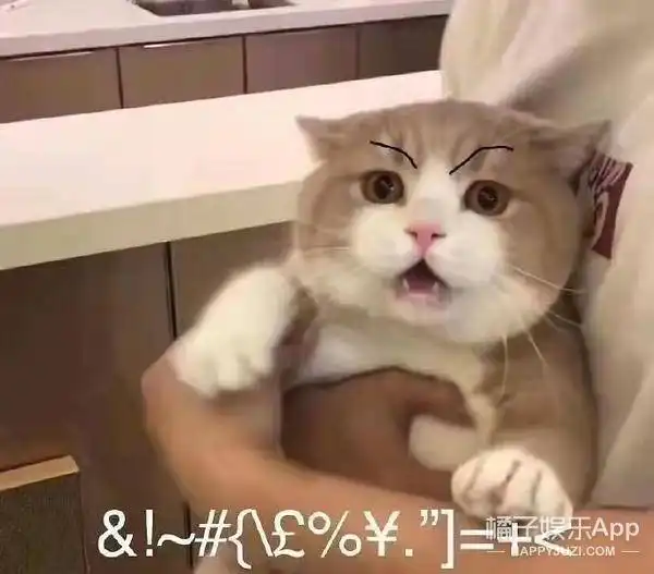 李佳琦转行当搞笑艺人金丝花瓶钱的味道,喜剧人设屹立不倒 李佳琦转行当搞笑艺人金丝花瓶钱的味道,喜剧人设屹立不倒