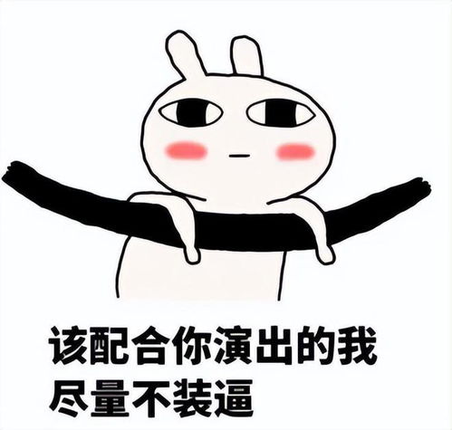 韩美娟表情包原图头像