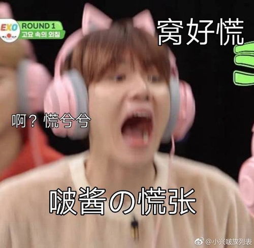 求边伯贤这张表情包原图 求边伯贤这张表情包原图