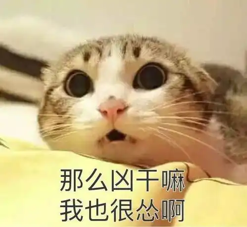 男默女泪网红爆款美容仪大盘点 男默女泪网红爆款美容仪大盘点