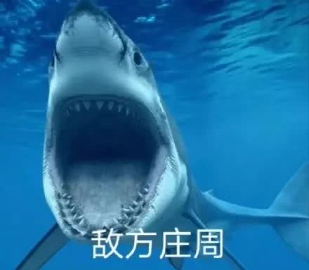  搞笑游戏中的敌方我方对比,我可能玩了假王者荣耀表情包