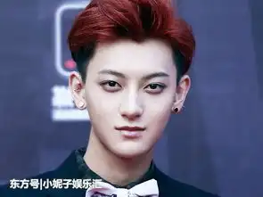 黄子韬功夫熊猫被嘲成表情包,真是非常爆笑了 黄子韬功夫熊猫被嘲成表情包,真是非常爆笑了