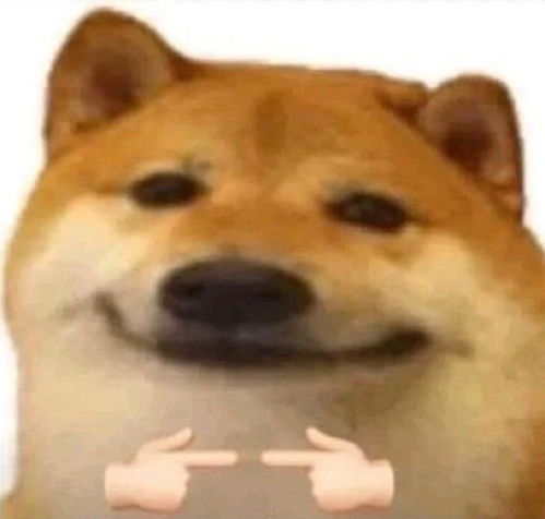  征集能在宿舍学校里玩的跨年活动
