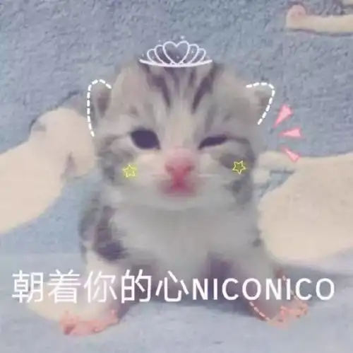  从耳尖散发出的夏日魅力,你get了没