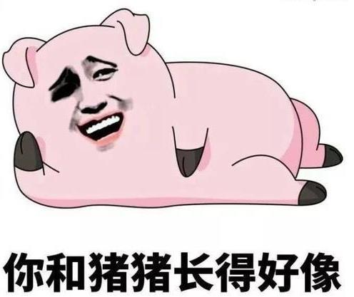  搞笑杂谈男子一语惊人老婆没了,我可以和我妈生一个