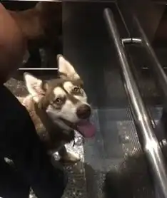  看奥运睡着被偷3次怎么回事