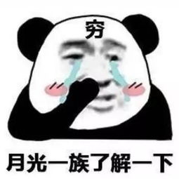 花5000块买了双香奈儿拖鞋某宝居然9块9包邮 花5000块买了双香奈儿拖鞋某宝居然9块9包邮