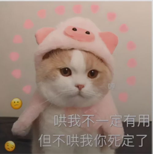  猫猫表情包我要把你摁在墙上,亲亲