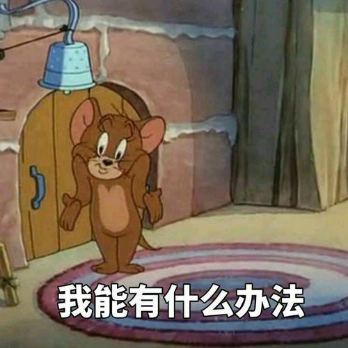  民航机场贵宾卡怎么样
