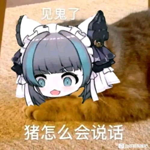  柴郡表情包