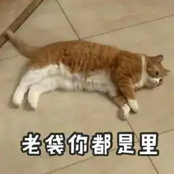 离家三天,发现了我家猫不可告人的秘密摄像机 离家三天,发现了我家猫不可告人的秘密摄像机