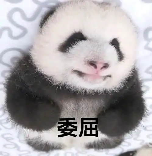 哔哩哔哩专栏 哔哩哔哩专栏