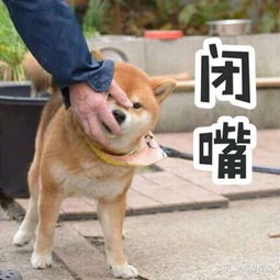  如何看待旅行中挑三拣四的同伴