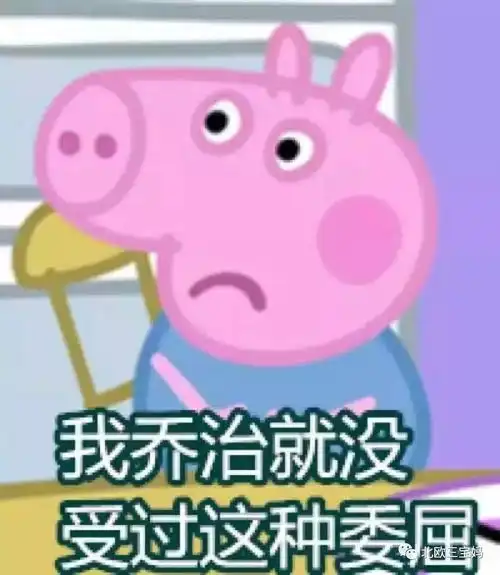 斗图表情包乌龟小猪佩奇