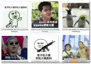  老子吃火锅你吃火锅底料表情包老子吃火锅你吃火锅底料表情大全中文版软件下载