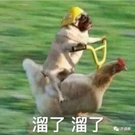  连自动寻路和地图都没有的冒险游戏能玩真香