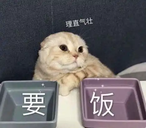 幽默笑话老师要求写一篇作文 幽默笑话老师要求写一篇作文