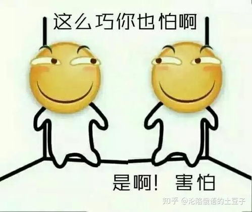 锤子锤人表情包话痨