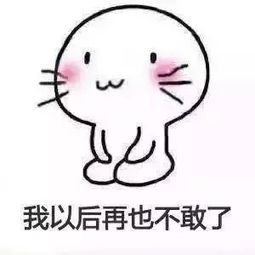  跪着道歉的表情包