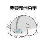  仓鼠夫妻