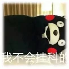 熊本熊表情包晚安学习