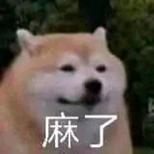 沙雕表情包配搞笑视频表