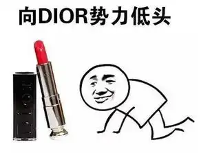 不妙啊家人们表情包口红