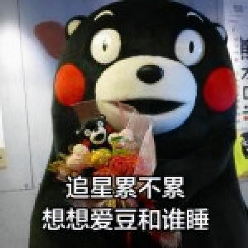  今日推荐熊熊累不累苦不苦金馆长表情包
