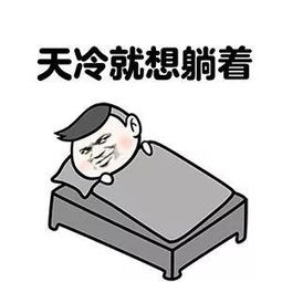  绿茵场今天,银川有支足球队出征全国赛场期待他们的凯旋