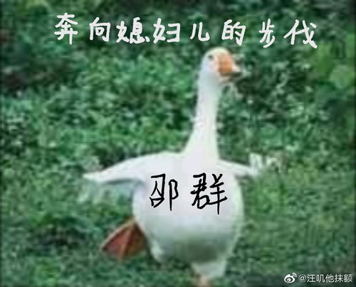 私信图发不出去了,视频里的表情包都发动态里了,需要的自取,还有几张没发,过不了审 私信图发不出去了,视频里的表情包都发动态里了,需要的自取,还有几张没发,过不了审