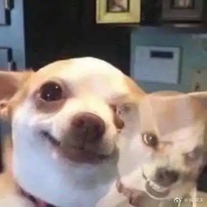 前导师念念不忘我的终身大事 前导师念念不忘我的终身大事