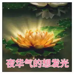  大家好我是夜华表情包安卓版下载夜华表情包大全最新完整版下载v1.0极速下载