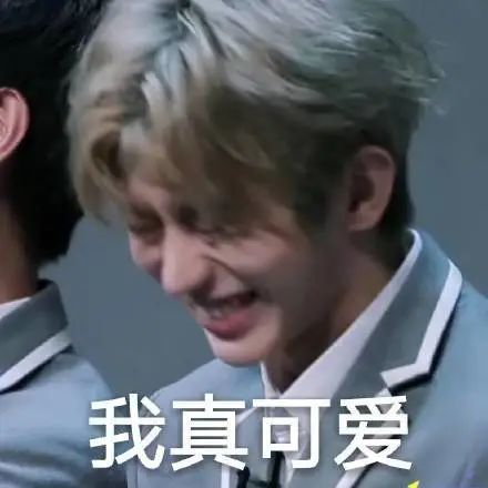 超可蔡徐坤蔡小葵表情包和头像