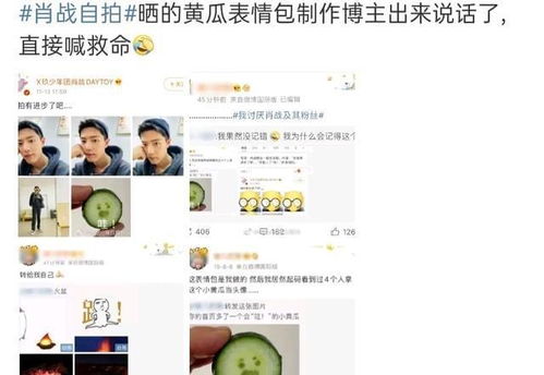  喊着讨厌却随时不忘cue,黄瓜表情包原创肖战黑粉被扒大言不惭