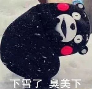  136,洛阳断崖式降温又要下雪更重要的是...