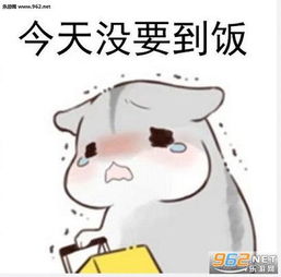  仓鼠要饭表情包我去要饭了表情包仓鼠版下载乐游网游戏下载