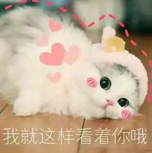  幽默笑话,跟男朋友逛街,看到一个很可爱的小朋友
